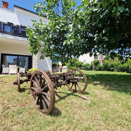 Holiday home Fuer 10 Personen Ca 240 Qm In Pula, Istrien Istrische Riviera *