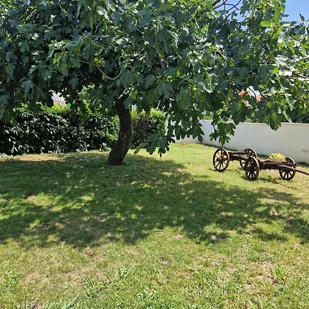 Holiday home Fuer 10 Personen Ca 240 Qm In Pula, Istrien Istrische Riviera Pula