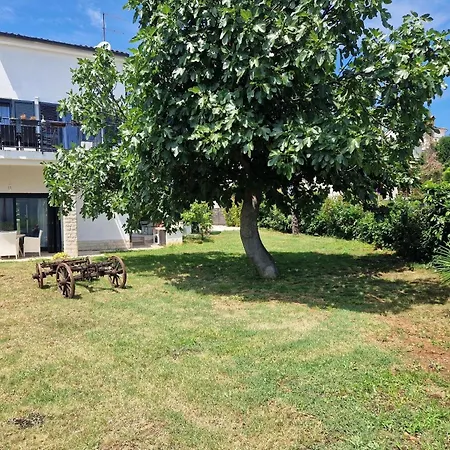 Fuer 10 Personen Ca 240 Qm In Pula, Istrien Istrische Riviera Holiday home